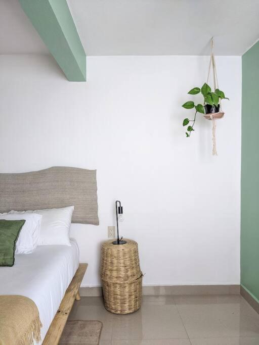 Casa Mua Hotel San Cristobal de las Casas Luaran gambar